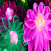 play Fantastic Flower Garden Puzzle