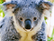 play Zoo Hidden Objects 2