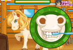 play Pony Care