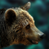 play Bear Escape