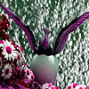 play Pink Sea Bird Puzzle