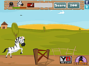 play Racing Zebra