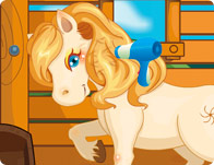 play Pony Care