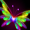 play Flying Bright Butterfly Slide Puzzle