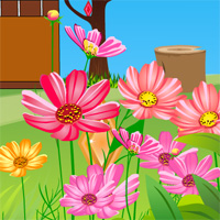 play Fairy Brucie Escape