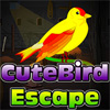 play Cute Bird Escape