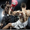 play Boxing Hidden Letters