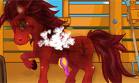 play Pony Care
