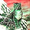 play Snow Leopard Family Slide Puzzle