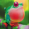 play Fat Red Frog Slide Puzzle