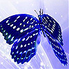 play Blue Butterfly Slide Puzzle