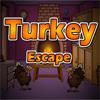 play Turkey Escape