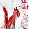 play Red Squirrel In The Snow Slide Puzzle