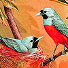 play Colorful Goldcrest Puzzle