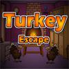 Turkey Escape game