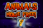 play Animals - Home Free!