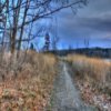 play Cherokee Marsh Jigsaw