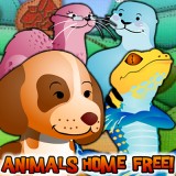 play Animals Home Free!