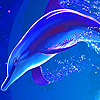 play Blue Dolphin In The Sea Puzzle