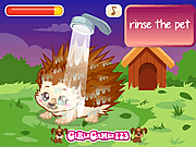 play Hedgehog Care