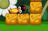 play Gluttonous Spider