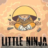 play Little Ninja