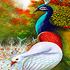 play Colorful Peacocks Puzzle