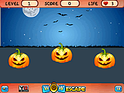 play Halloween Hide And Seek