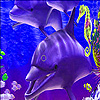 play Dolphins And Seahorse Puzzle