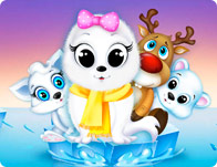 play Pet Spa Salon North Pole