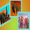 play The Elephants Family In The Desert Puzzle