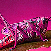 play Pink Grasshopper In Garden Puzzle