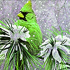 play Green Bird On The Snow Garden Puzzle