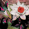 Black Ducks And Lotus Puzzle