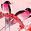 play Fantastic Birds Chatting Puzzle