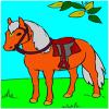 play Horse Coloring