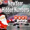 New Year Hidden Numbers