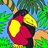 play Black Parrot On The Palm Tree Coloring
