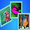 play Big Colorful Fishes Puzzle