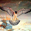play Winter Eagle Puzzle