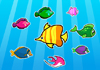 play Colorful Fish Matching
