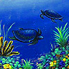 play Blue Sea Turtle Puzzle