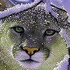 play Cat On The Snow Puzzle