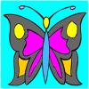 play Butterfly Coloring