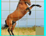 play Animal Jigsaw