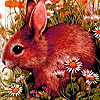 play Tired Rabbit On The Field Puzzle