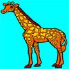 play Giraffe Coloring