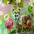 play Snail Bob 7