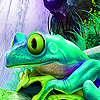play Frog On The Waterfall Puzzle