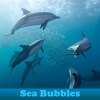 play Sea Bubbles 5 Differences